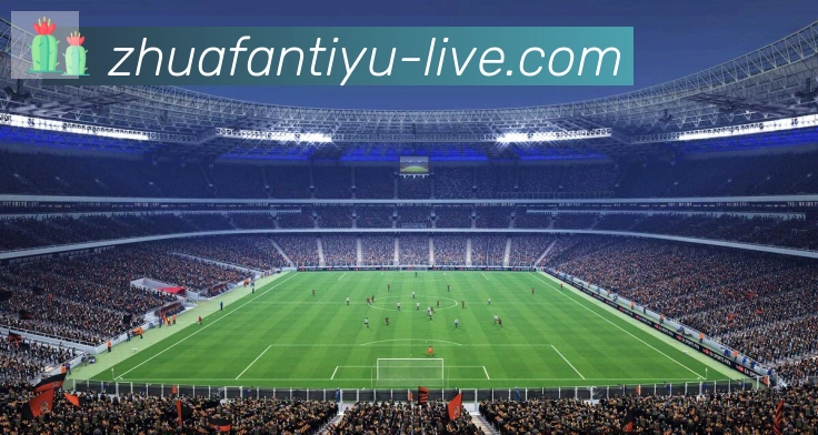 奖项证书